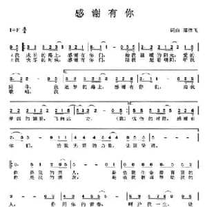 感谢有你_民歌简谱_词曲:郑依飞 郑依飞