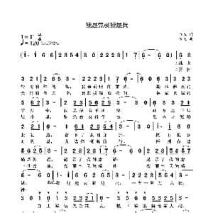 我是党员我是兵_歌曲简谱_词曲:袁龙 袁龙