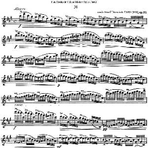 长笛曲谱 | 斯勒新老风格长笛练习重奏曲 第二部分 NO.30 NO.31 Siegfried Thiele S. 斯勒