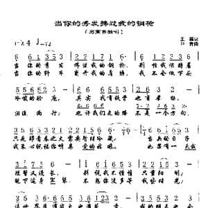 当你的秀发拂过我的钢枪_歌谱投稿_词曲:王磊 印青