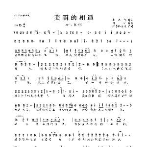 美丽的相遇_歌曲简谱_词曲:赵志伟 阿浩