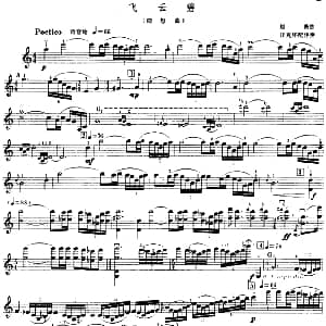 小提琴谱 | 飞云碧 随想曲 赵薇曲 汪克怀配伴奏