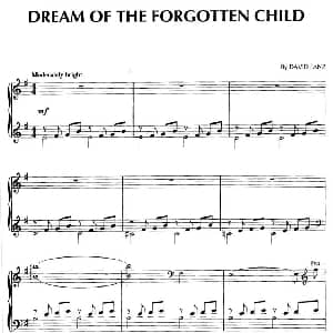 Dream Of The Forgotten Child 钢琴谱 大卫.蓝兹