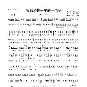 我只是你手里的一把伞_歌曲简谱_词曲:张国强 大纯