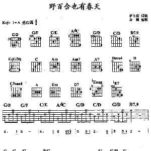 野百合也有春天 吉他谱 罗大佑 罗大佑
