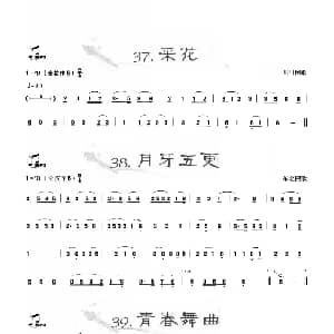 葫芦丝谱 | 葫芦丝曲精选 采花 月芽五更 青春舞曲 王甲坤 王甲华编著