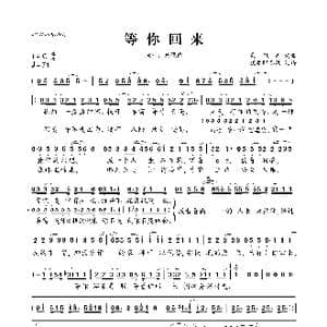 等你回来_歌曲简谱_词曲:戴佩妮 戴佩妮