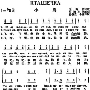小鸟 前苏联 _外国歌谱_词曲:孙静云 希扬译配 史姆库斯改编