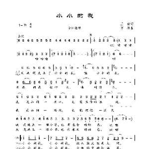 小小的我_歌曲简谱_词曲:王健 傅林