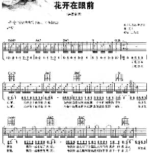 花开在眼前 吉他谱 韩磊