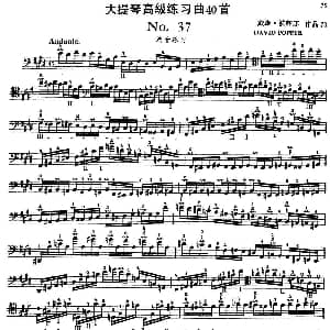 大提琴高级练习曲40首 No.37 波音练习 戴维 波帕尔