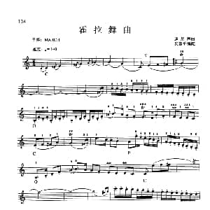 电子琴谱 | 霍拉舞曲 迪尼库曲 吴嘉平