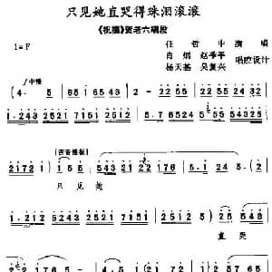 只见她直哭的珠泪滚滚 秦腔 祝福 贺老六唱段