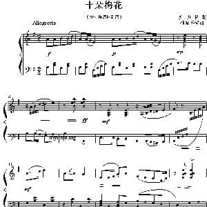 十朵梅花 钢琴谱