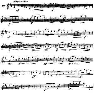 长笛曲谱 | 三十首基础及提高练习曲 NO.12 Garibold 加里波第