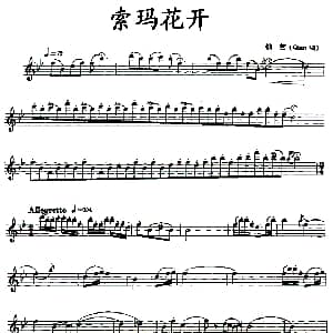 长笛曲谱 | 索玛花开