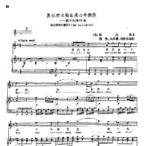 声乐教学曲库2 15复仇的火焰在我心中燃烧 奥地利 _外国歌谱_词曲: 奥 W.莫扎特