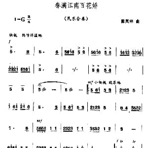 春满江南百花娇 民乐合奏 陈凤祥