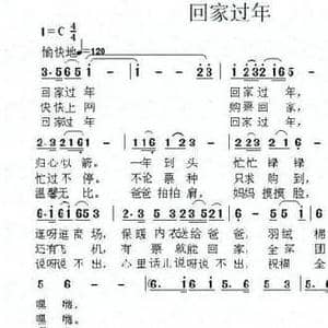 回家过年_民歌简谱_词曲:赵小华 赵小华