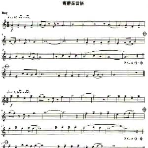 长笛曲谱 | 毒蘑菇雷格