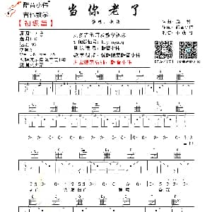 当你老了 吉他谱 赵照词曲 酷音小伟