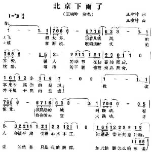 北京下雨了_通俗唱法乐谱_词曲:王啸坤 王啸坤