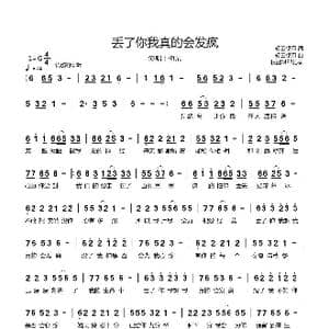 丢了你我真的会发疯_歌曲简谱_词曲:轻云望月 轻云望月
