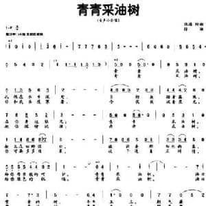 青青采油树_民歌简谱_词曲:张海 徐湘 徐湘