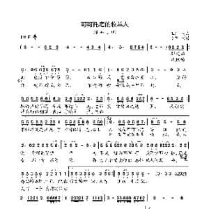 可可托海的牧羊人_歌曲简谱_词曲:王琪 王琪