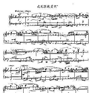 手风琴谱 | 威尼斯的夏天