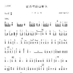 在希望的田野上_歌曲简谱_词曲: 春雨少儿民乐团