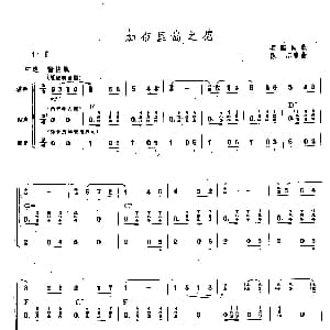 加布里岛之花 轻音乐合奏曲 陈志编曲