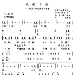 我要飞翔 美国 _外国歌谱