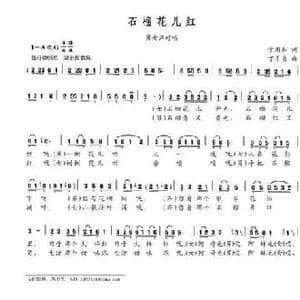 石榴花儿红_民歌简谱_词曲:管用和 丁干贞