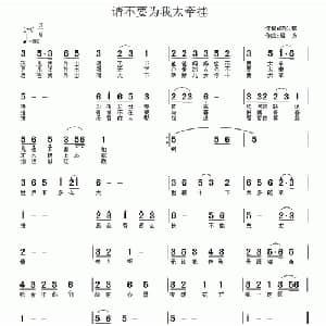 请不要为我太牵挂_通俗唱法乐谱_词曲:陈久琪 启方
