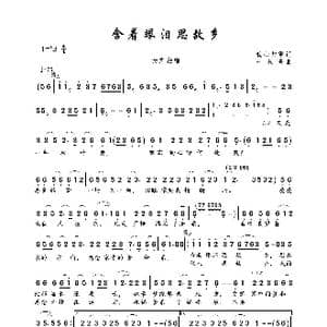 含着眼泪思故乡_歌曲简谱_词曲:我心归零 一只舟