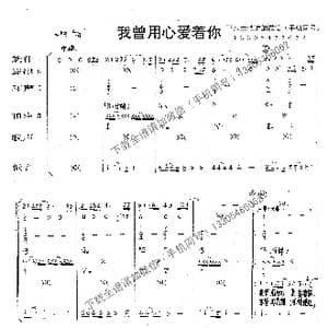 我曾用心爱着你_歌谱投稿_词曲:潘美辰 潘美辰