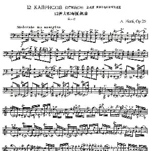 A. Piatti 12 Caprice Op.25 皮阿蒂 12首大提琴随想曲 第八