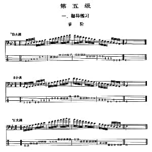 电贝司专业等级第五级 一 指导练习