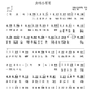 卖唱小哥哥_通俗唱法乐谱_词曲:流水在唱 琴诗 琴诗