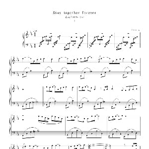 Stay together forever 钢琴谱 完美帅
