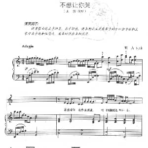 不想让你哭 钢琴谱 胡力