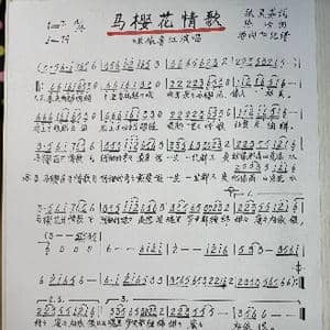 马樱花情歌_歌谱投稿_词曲:张灵茹 陈浩