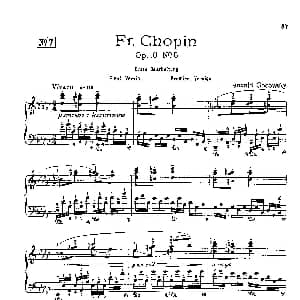 53首以肖邦练习曲为素材而作的练习曲 钢琴谱 里奥鲍尔德 戈多夫斯基