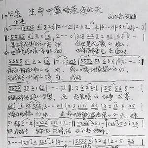 生命中蓝格莹莹的天_歌曲简谱_词曲:孙卫东 孙卫东