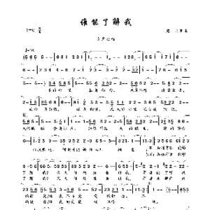 谁能了解我_歌曲简谱_词曲:蔻儿 蔻儿