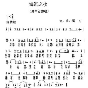 海滨之夜_美声唱法乐谱_词曲:翟可 翟可