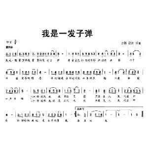 我是一发子弹_通俗唱法乐谱_词曲:力根 凯村 力根 凯村