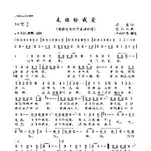 是你给我爱_歌曲简谱_词曲:张藜 徐沛东
