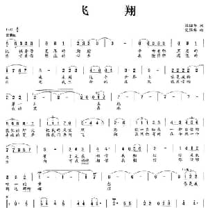 飞翔_通俗唱法乐谱_词曲:梁国华 梁强华